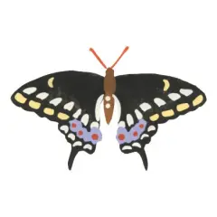 Black Swallowtail Butterfly Wall Stencil | 2686 by Designer Stencils | Animal & Nature Stencils | Reusable Art Craft Stencils for Painting on Walls, Canvas, Wood | Reusable Plastic Paint Stencil for Home Makeover | Easy to Use & Clean Art Stencil