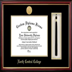 North Central College 11w x 8.5h Tassel Box and Diploma Frame