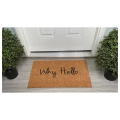 Calloway Mills 106681729 Why Hello Doormat 17" x 29"