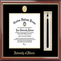 University of Illinois, Urbana-Champaign 11w x 8.5h Tassel Box and Diploma Frame