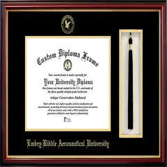 Embry-Riddle University 11w x 8.5h Tassel Box and Diploma Frame