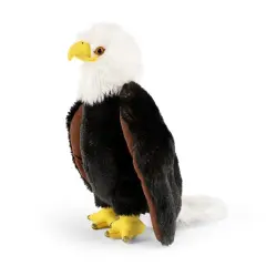 Bald Eagle by LIVING NATURE - 11"