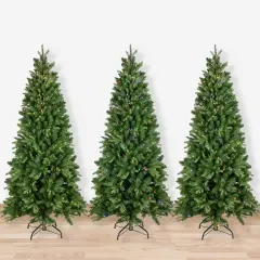 Northlight Pre-Lit Slim Washington Frasier Fir Christmas Tree - 6.5' - Dual Color LED Lights Green