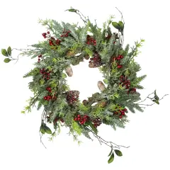 Northlight Frosted Pine and Berry Artificial Christmas Wreath, 25-Inch, Unlit Green
