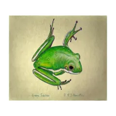 Betsy Drake Green Tree Frog 30 Inch By 50 Inch Comfort Floor Mat