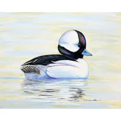 Betsy Drake Bufflehead Duck Place Mat Set of 4