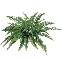 Boston Fern Plant 34" Wide | 42 Lifelike Silk Fronds | Floral Home&reg;