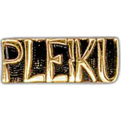 Pleiku Pin 1"