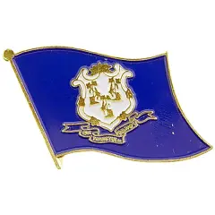 Connecticut Flag Pin 1"