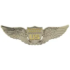 EagleEmblems P16159 Wing-USAF,Pilot.Early (3'')