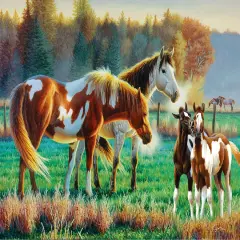 Sunsout Pasture Family 550 pc Jigsaw Puzzle 70979