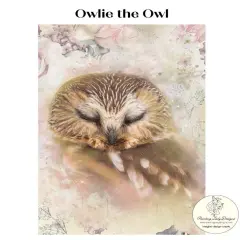 Owlie the Owl - Decoupage & Mixed Media Art Paper (large)