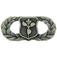 EagleEmblems P12101 Wing-USAF,Meteor,Basic (Mini) PWT (.875'')