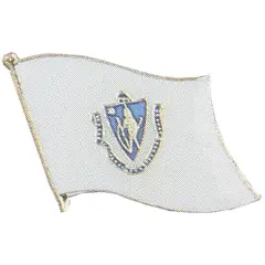 Massachusetts Flag Pin 1"