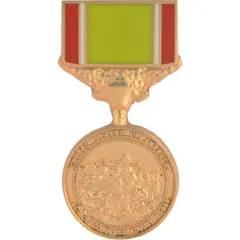 EagleEmblems P13018 Pin-Medal, Gold Lifesaving, (1-3/16")