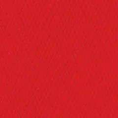 Bazzill Mono Cardstock 12"X12"