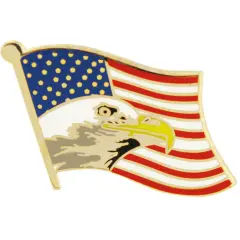 American Flag with Eagle Pin 1"