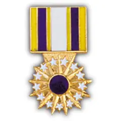 EagleEmblems P15863 PIN-Medal,USAF DIST.SERV. (1-3/16'')