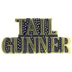 U.S. Air Force Tail Gunner Pin 1"