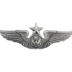 EagleEmblems P16326 Wing-USAF,Aircrew,Senior (3'')