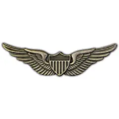 WING- ARMY, AVIATOR, BASIC (2-5/8")