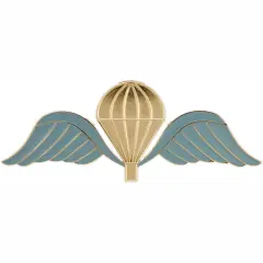 EagleEmblems P40030 Wing-BELGUIM,Jump (2.75'')