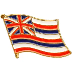 Hawaii Flag Pin 1"