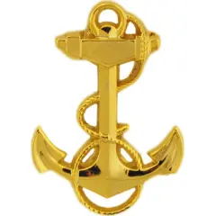 EagleEmblems P12625 Pin