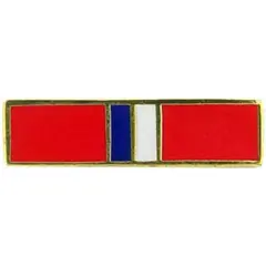 EagleEmblems P14078 PIN-Ribb,Phil.LIB. (11/16'')