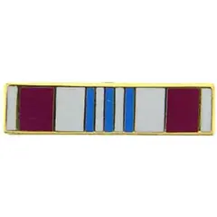EagleEmblems P14019 PIN-Ribb,DEF.Merit.SERVIC (11/16'')