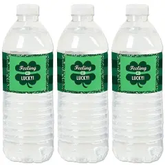 Big Dot of Happiness St. Patrick's Day - Saint Paddy's Day Party Water Bottle Sticker Labels - Set of 20