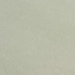 Core'dinations Core Foundations Cardstock 12"X12"-Elephant