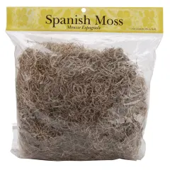Panacea Spanish Moss 8oz-Natural