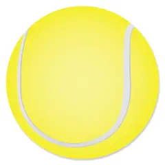Big Dot of Happiness You Got Served - Tennis - Baby Shower or Tennis Ball Birthday Party Circle Sticker Labels - 24 Count