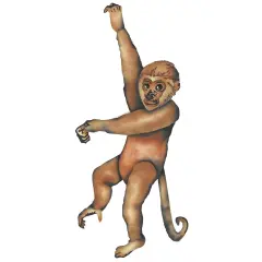 Monkey Wall Stencil | 3228 by Designer Stencils | Animal & Nature Stencils | Reusable Art Craft Stencils for Painting on Walls, Canvas, Wood | Reusable Plastic Paint Stencil for Home Makeover | Easy to Use & Clean Art Stencil