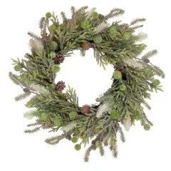 Northlight Artificial Christmas Wreath with Frosted Foliage and Pine Cones - 24" - Unlit Green