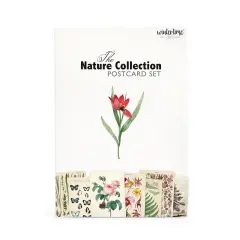Nature Collection Postcard Set: Pack of 30 Retro Style Botanical, Nature and Ephemera Postcards by Wintertime Crafts