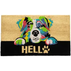 Northlight Ivory and Black "Hello" Multicolor Dog Outdoor Coir Doormat 18" x 30"