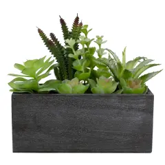 Northlight 10" Artificial Mixed Succulent Plants in a Rectangular Planter Green