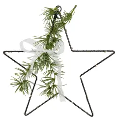 Northlight LED Lighted Star with Rosemary Sprig Christmas Decoration - 11" - Warm White Black
