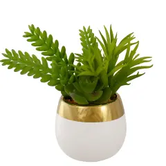 Northlight Mixed Artificial Succulent Arrangement in Ceramic Pot - 6.5" Green