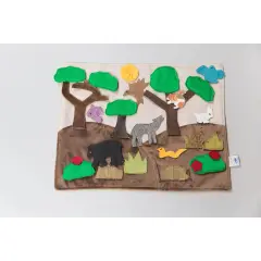 Forest Habitat Storyboard