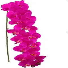 49" Phalaenopsis Orchid - Set of 12, 16 Realistic Silk Blooms, Lifelike Fuchsia Flowers, Perfect for Events, Home & D&eacute;cor - Ideal for All Seasons, Floral Home by Artificial Flowers