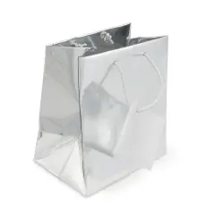 Gift Bag Small Metallic Silver (Package of 20)