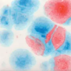 Kaboom Mayco Jungle Gem's Crystal Glaze 4oz Jar