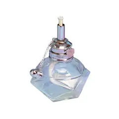 Adjustable Alcohol Lamp, 3/16 Inch Wick | LMP-422.00