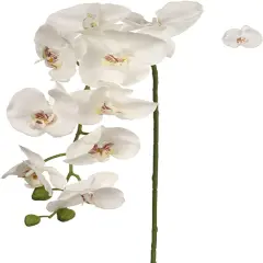 12-Pack: White Phalaenopsis Orchid Stem with 9 Silk Flowers, Floral Home by Artificial Flowers