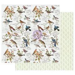 Prima Marketing Inc Nature Lover Collection 12x12 Sheet - Where The Birds Meet - 10 Sheet W/ Foil Details / Paper 655350849665