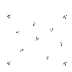 Rosebud Wallpaper Wall Stencil | 3063 by Designer Stencils | Floral Stencils | Reusable Art Craft Stencils for Painting on Walls, Canvas, Wood | Reusable Plastic Paint Stencil for Home Makeover | Easy to Use & Clean Art Stencil