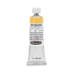 Schmincke Mussini Oil Colors - Naples Yellow Deep, 35 ml tube